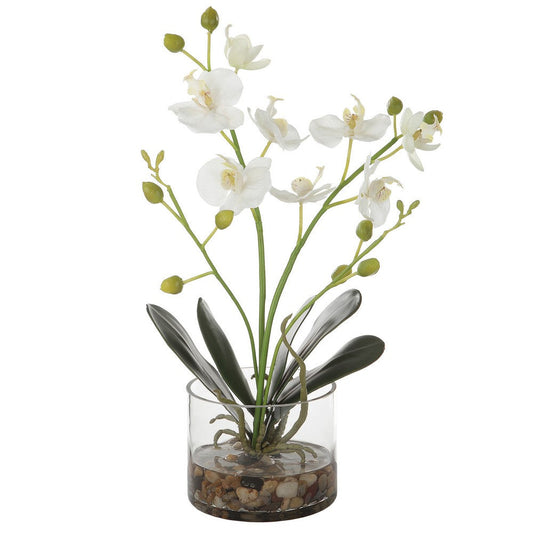Glory - Orchid-15.75 Inches Tall and 12 Inches Wide