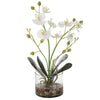 Glory - Orchid-15.75 Inches Tall and 12 Inches Wide