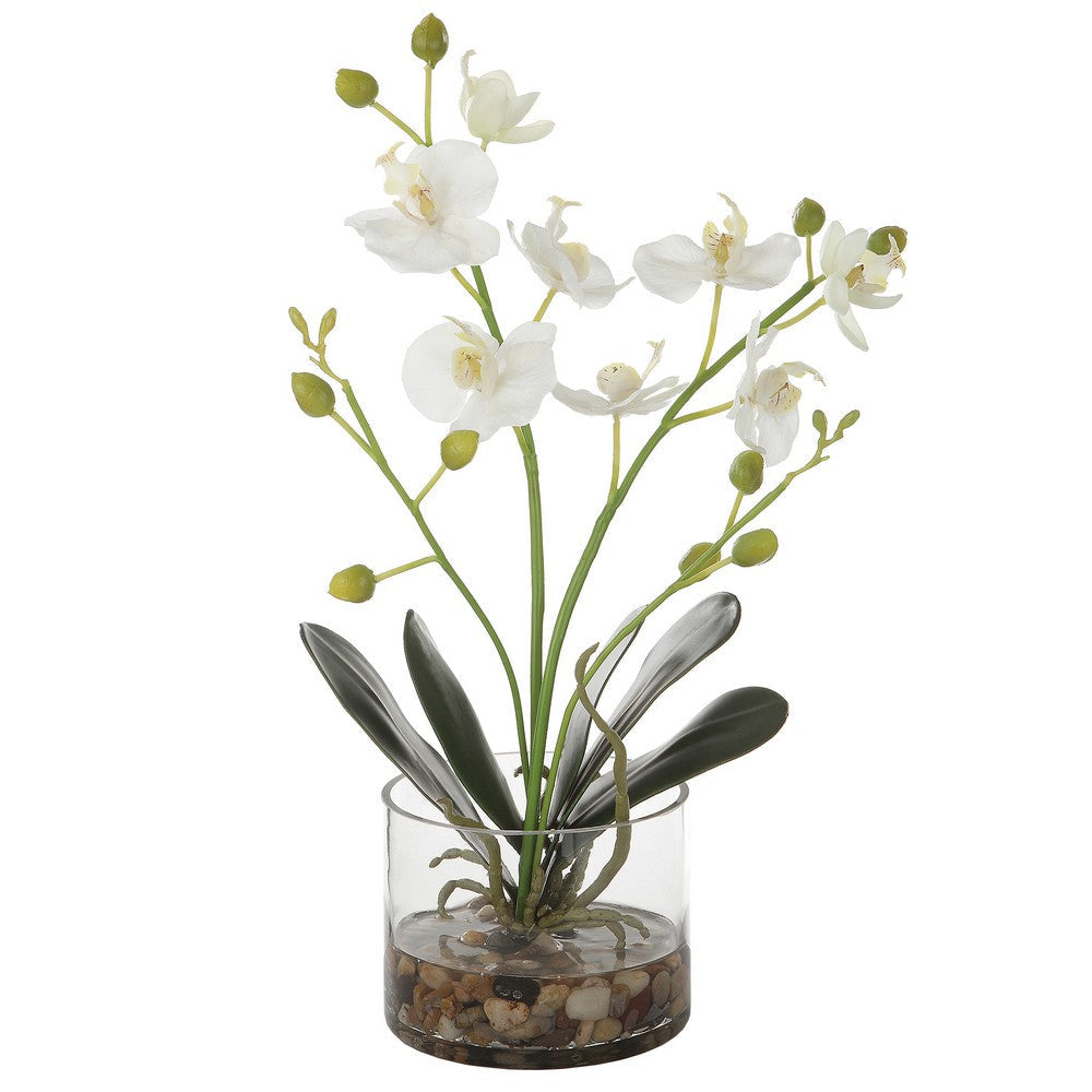 Glory - Orchid-15.75 Inches Tall and 12 Inches Wide