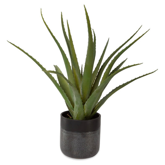 Uttermost Tucson Aloe Planter By Casagear Home