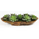 Uttermost Yuma - Centerpiece-8 Inches Tall and 27 Inches Wide
