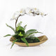 Uttermost Transcend Orchid Centerpiece By Casagear Home