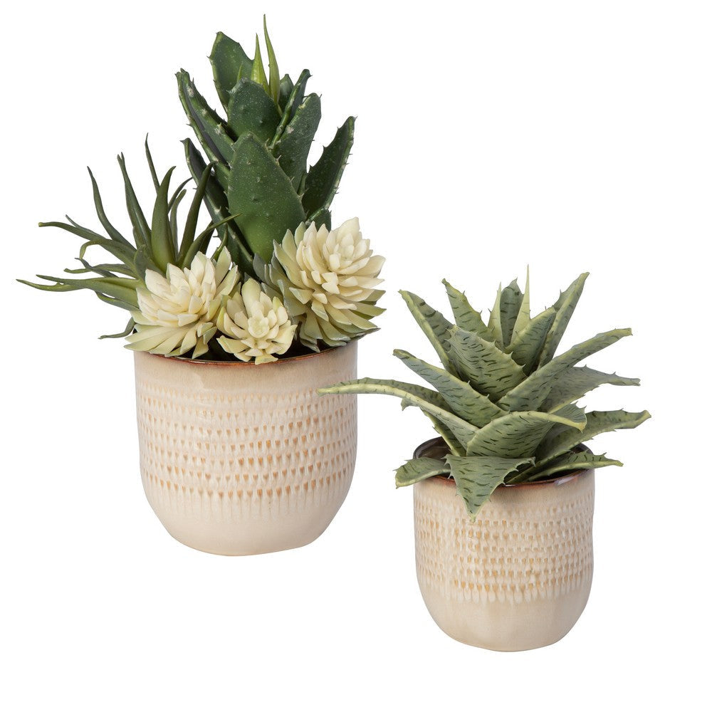 Uttermost Seaside Succulents, Set/2 By Casagear Home