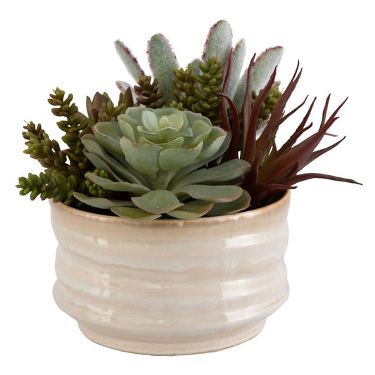 Uttermost Mesa Succulent Accent By Casagear Home