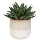 Uttermost Doha Succulent Accent By Casagear Home UT-60213