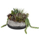 Yuma Succulent - Planter-13 Inches Tall and 15 Inches Wide
