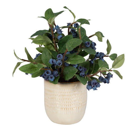 Uttermost 60215 Blueberry Fields - Planter-12 Inches Tall and 10 Inches Wide