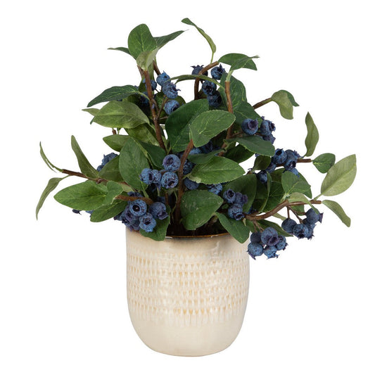 Uttermost 60215 Blueberry Fields - Planter-12 Inches Tall and 10 Inches Wide