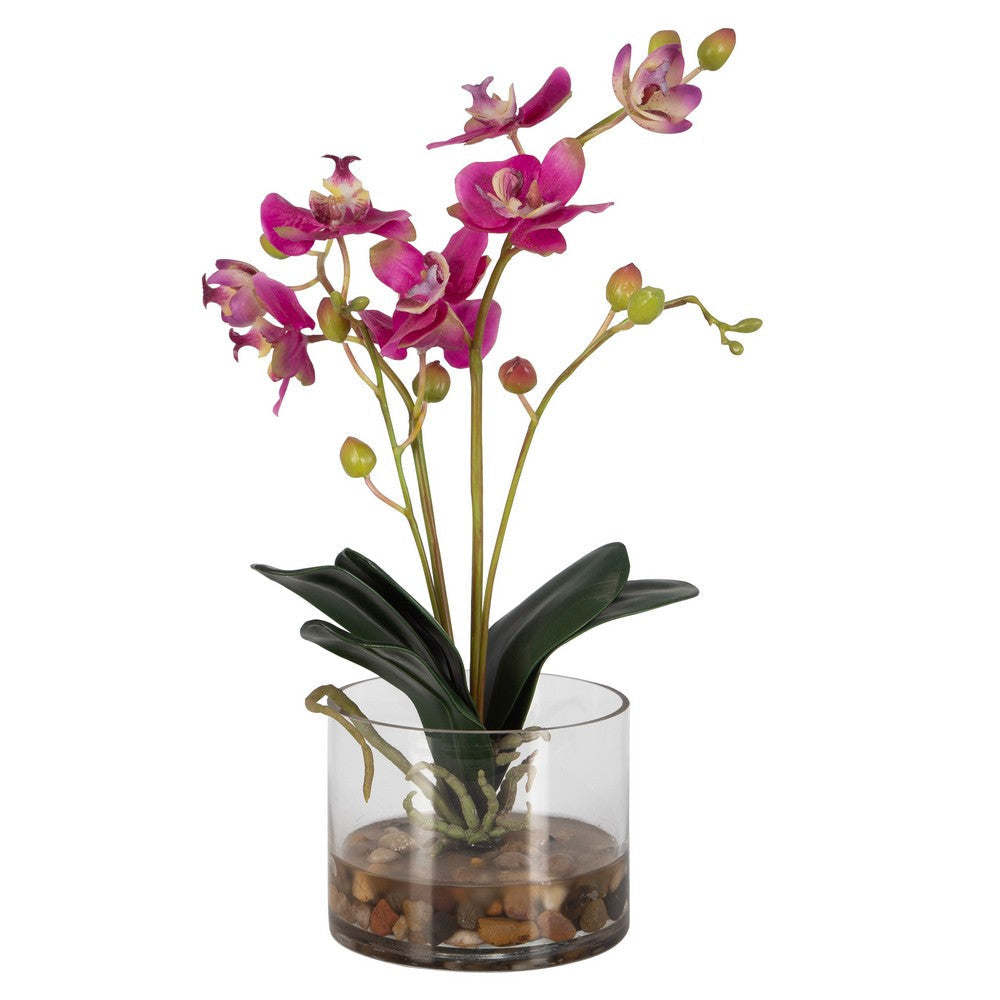 Glory Orchid - Planter-13 Inches Tall and 11.25 Inches Wide