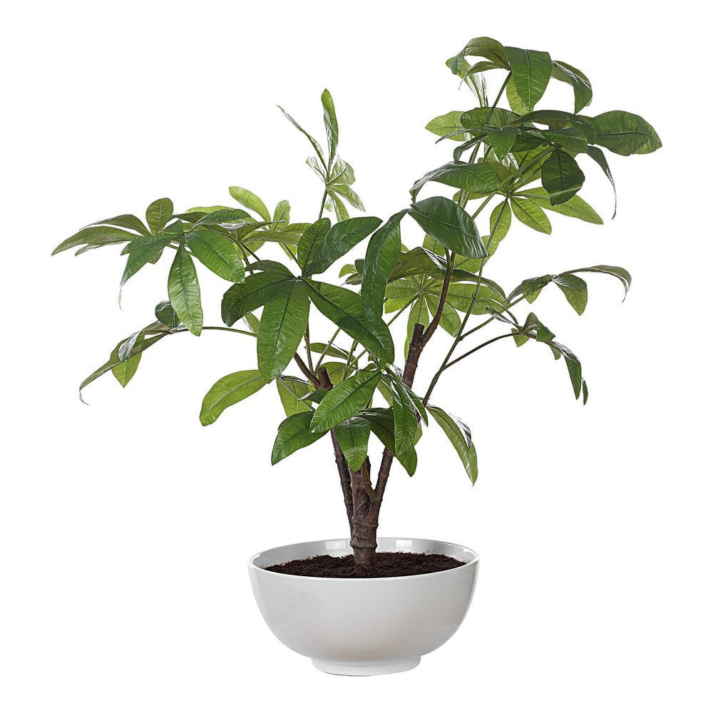 Uttermost Pachira Money Tree UT-60225