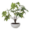 Uttermost Pachira Money Tree UT-60225
