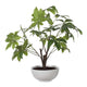 Uttermost Pachira Money Tree UT-60225