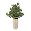Uttermost Crassula Jade Accent Plant UT-60226