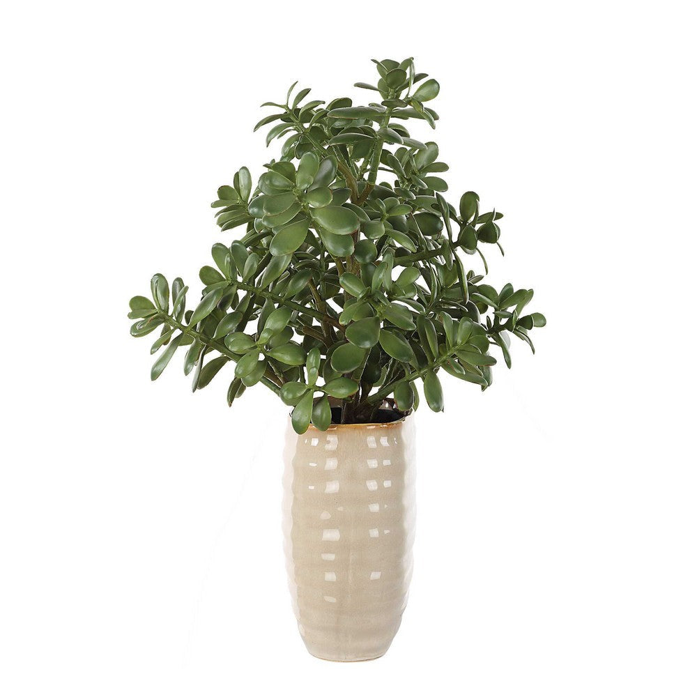Uttermost Crassula Jade Accent Plant UT-60226