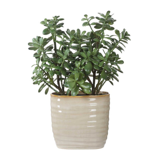 Uttermost Crassula Jade Accent Plant