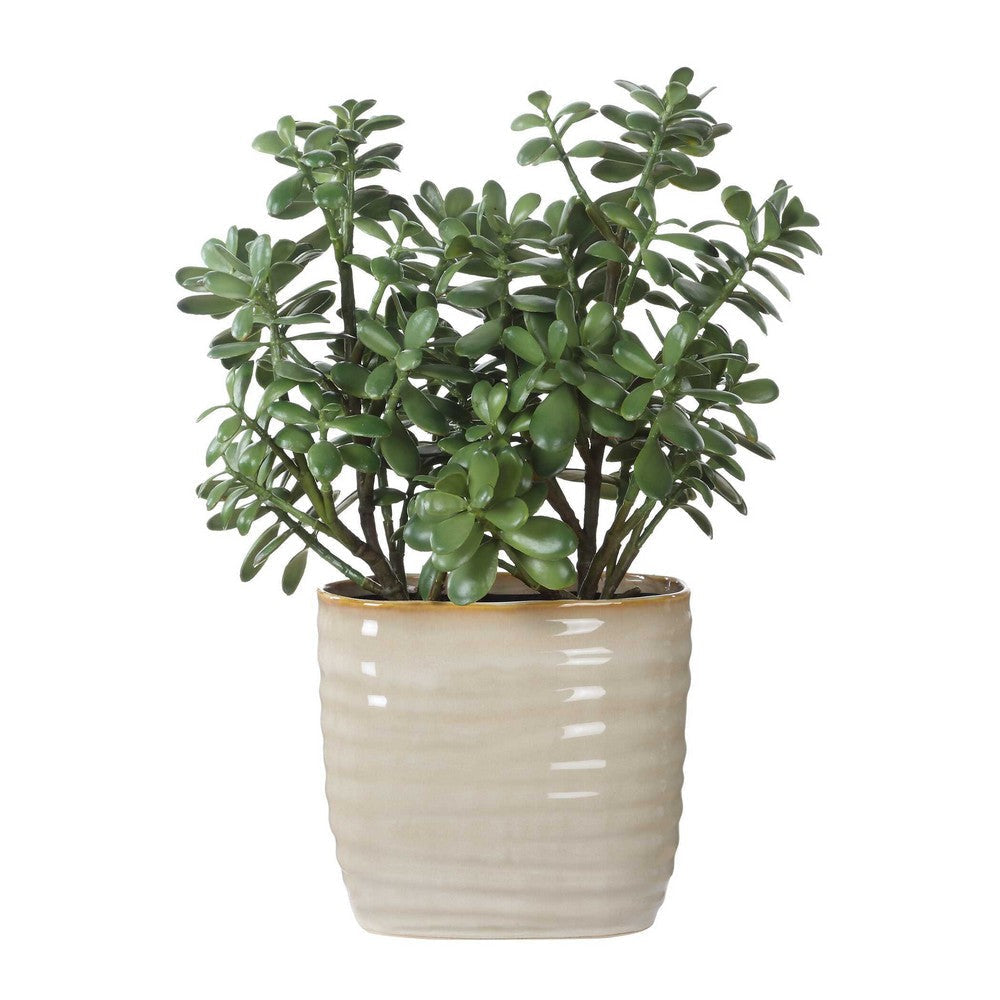 Uttermost Crassula Jade Accent Plant