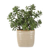 Uttermost Crassula Jade Accent Plant UT-60226
