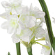 Uttermost Lacey Daffodil Accent Arrangement