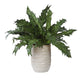 Uttermost Verdure Fern In Glazed Pot UT-60229