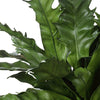 Uttermost Verdure Fern In Glazed Pot UT-60229