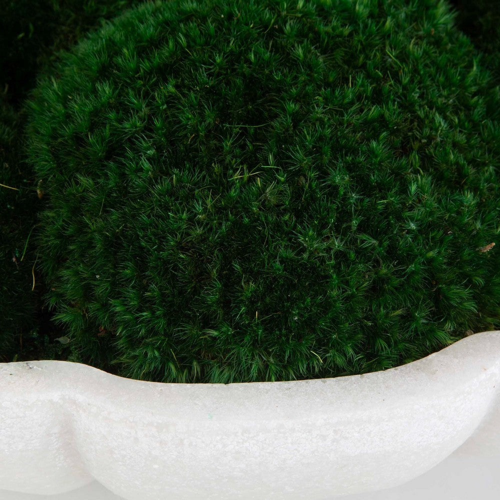 Uttermost Awaken Moss Centerpiece