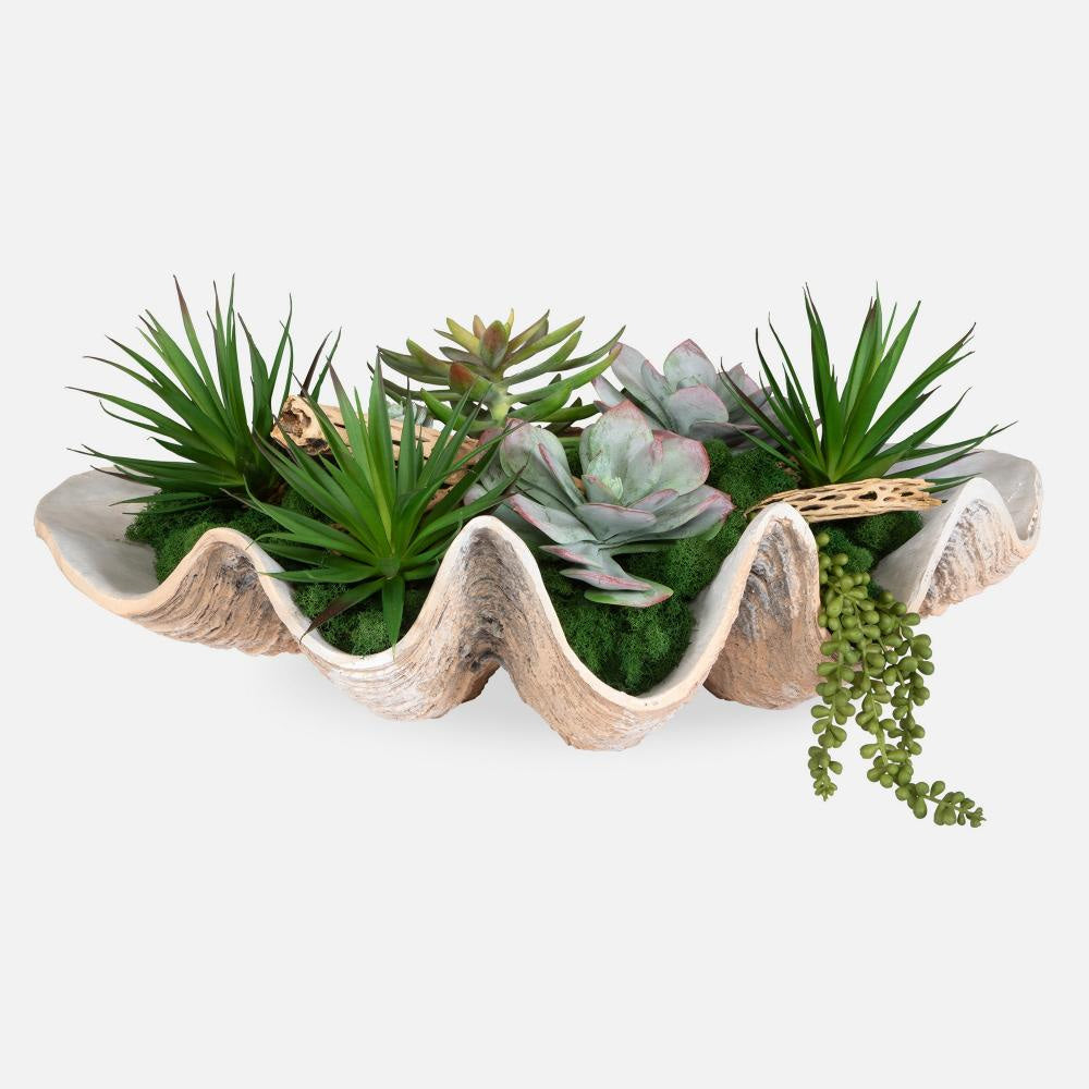 Uttermost 60233 Seaside Breeze - Succulents-10 Inches Tall and 23 Inches Wide UT-60233