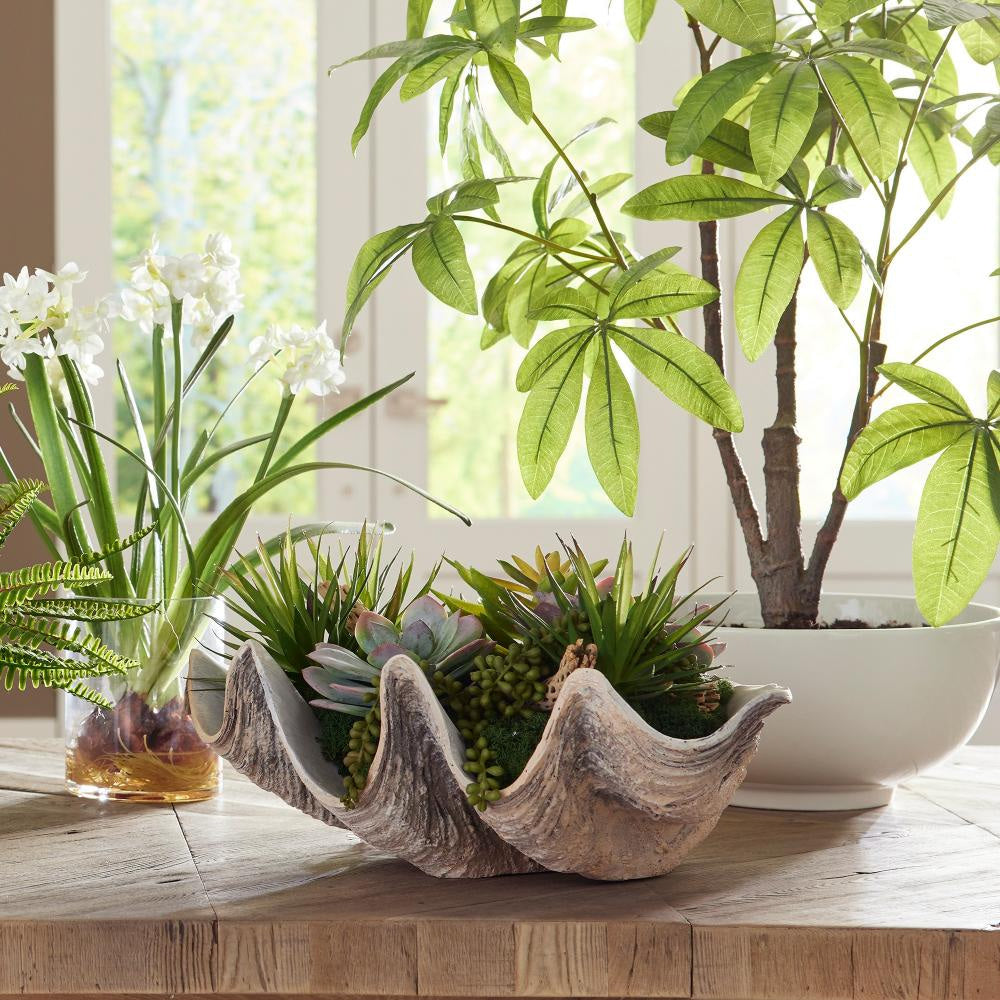Uttermost 60233 Seaside Breeze - Succulents-10 Inches Tall and 23 Inches Wide