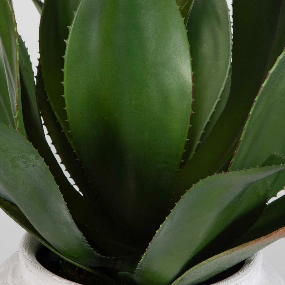 Uttermost Tierra Agave Centerpiece With Vase UT-60235