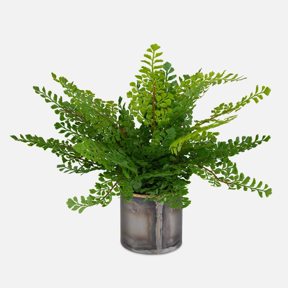 Uttermost Maidenhair Fern In Oxidized Container UT-60237
