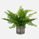 Uttermost Maidenhair Fern In Oxidized Container UT-60237