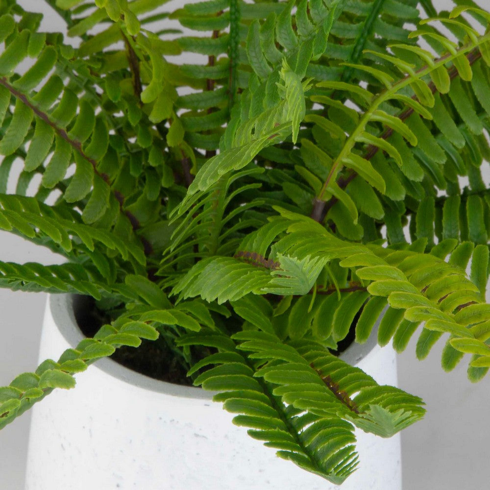 Uttermost Boston Fern In White Ceramic Pot UT-60238