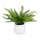 Uttermost Boston Fern In White Ceramic Pot