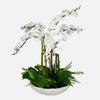Uttermost 60239 Flourish Orchid - Centerpiece-36 Inches Tall and 33 Inches Wide UT-60239