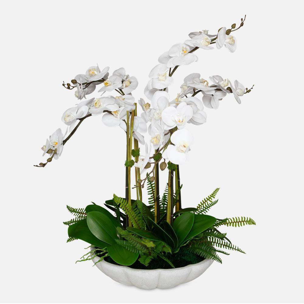 Uttermost 60239 Flourish Orchid - Centerpiece-36 Inches Tall and 33 Inches Wide UT-60239