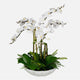 Uttermost 60239 Flourish Orchid - Centerpiece-36 Inches Tall and 33 Inches Wide UT-60239