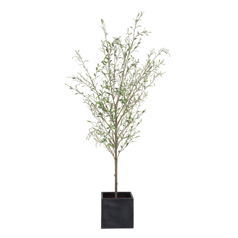 Uttermost Abundance Potted Olive Tree UT-60240