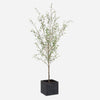 Uttermost Abundance Potted Olive Tree