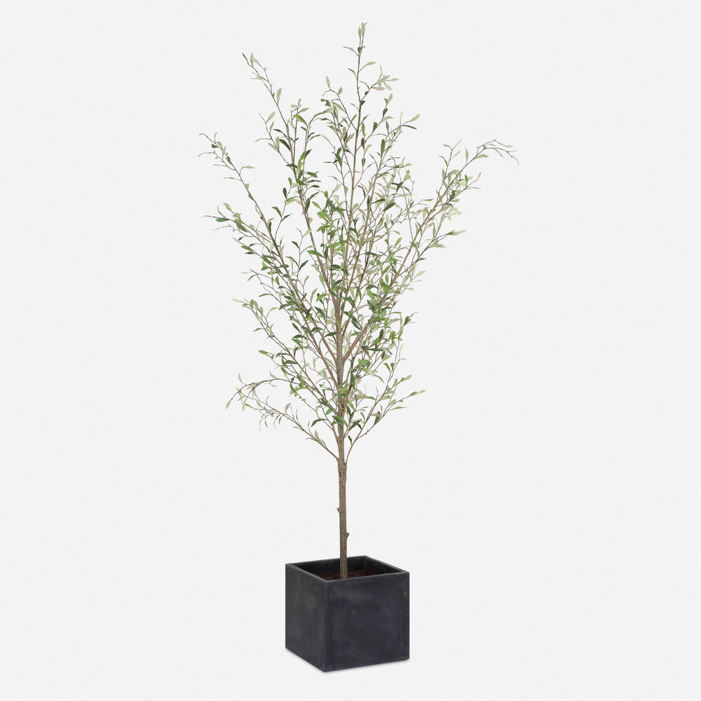 Uttermost Abundance Potted Olive Tree