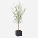Uttermost Abundance Potted Olive Tree