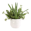 Uttermost Sundown Succulent Accent Planter