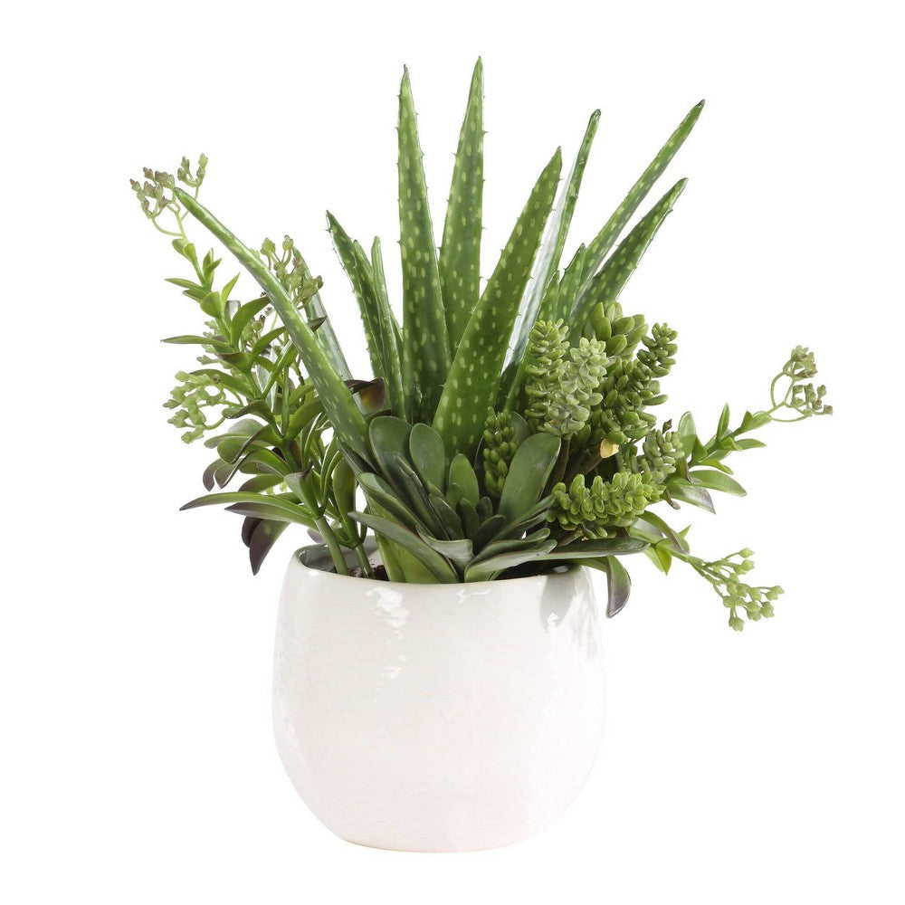 Uttermost Sundown Succulent Accent Planter UT-60244