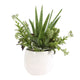 Uttermost Sundown Succulent Accent Planter UT-60244
