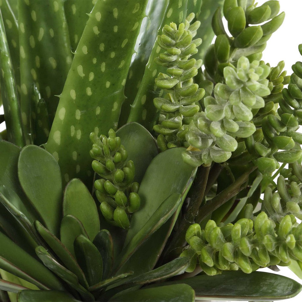 Uttermost Sundown Succulent Accent Planter UT-60244