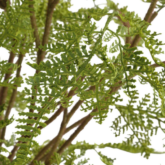 Uttermost Woodland Fern Centerpiece