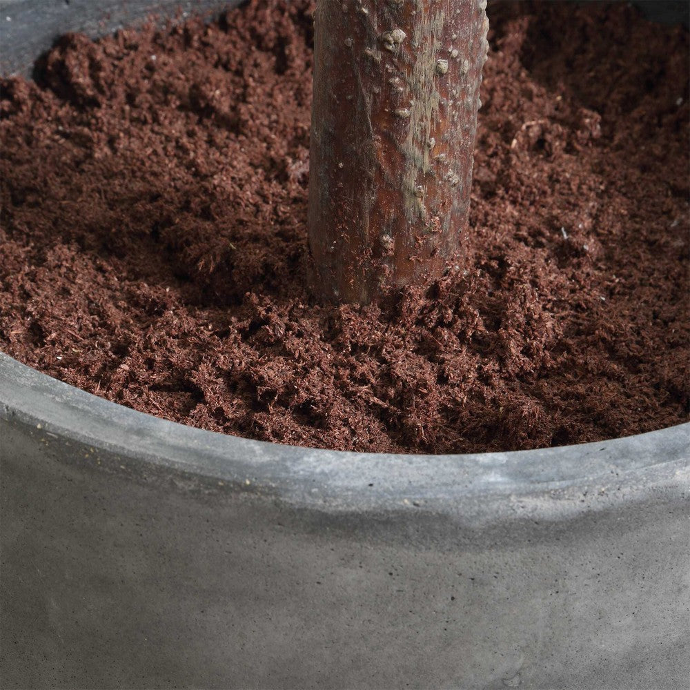 Uttermost Eden Potted Fig Tree UT-60246