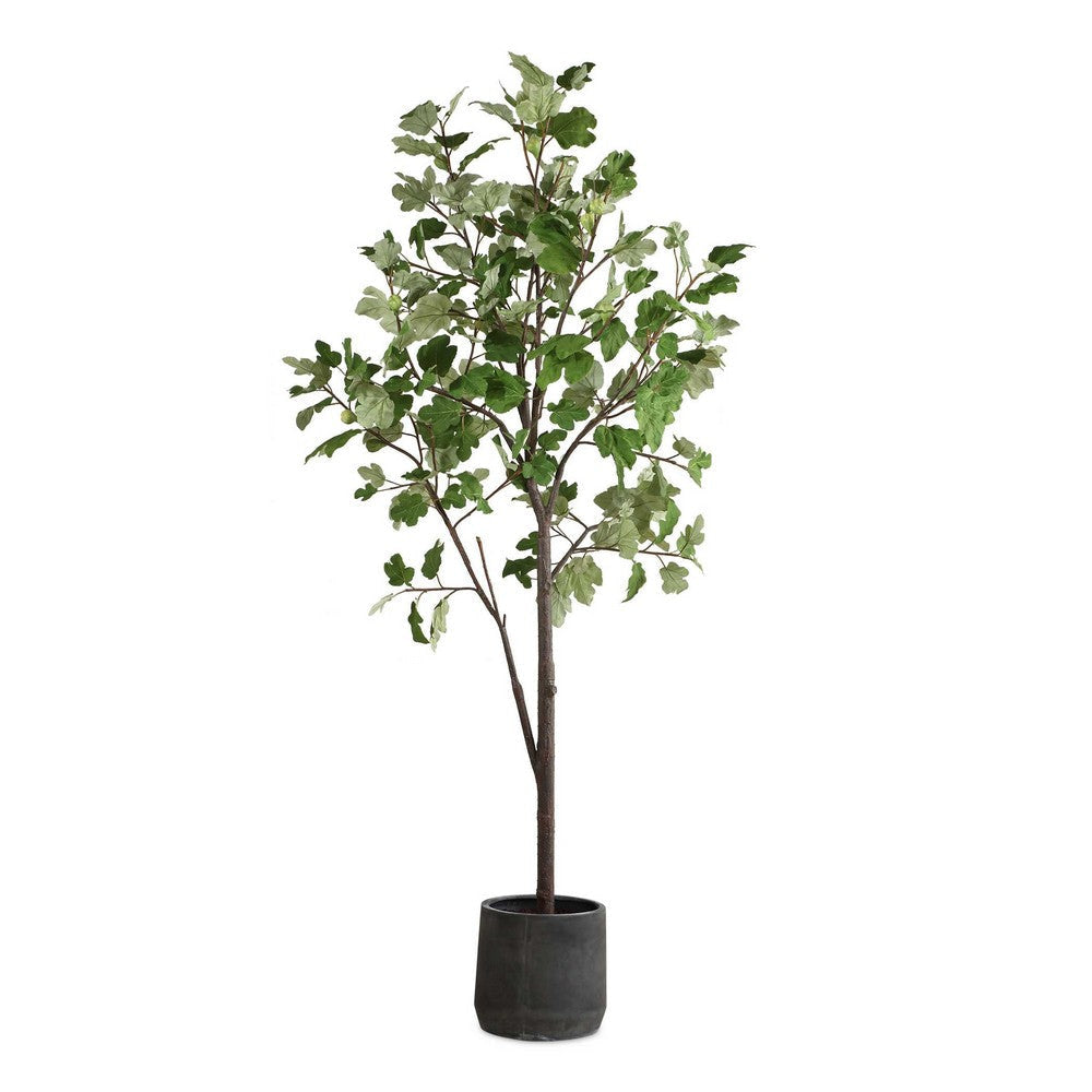 Uttermost Eden Potted Fig Tree
