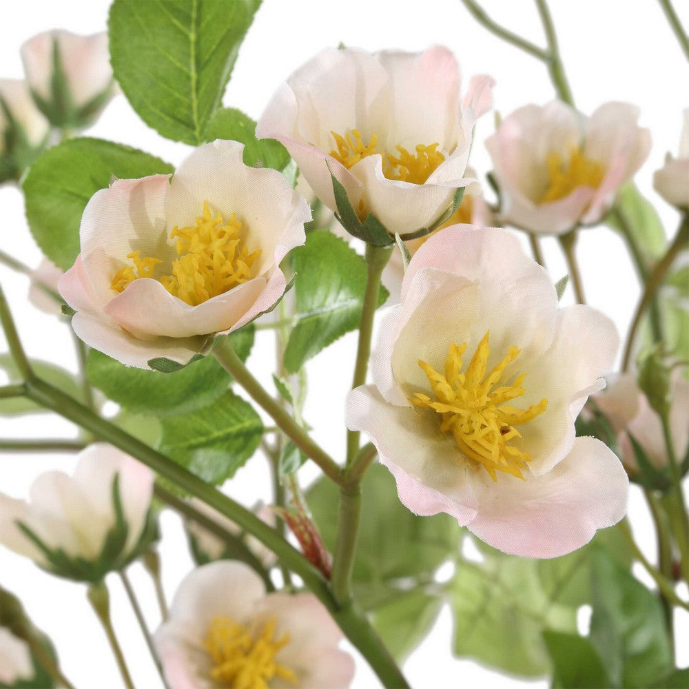 Uttermost Tranquility Lenten Rose Bouquets Set/2