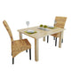 Dyna Dining Chair Set of 2 | Brown Abaca Woven Design | Solid Mango Wood