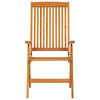 Savio Foldable Outdoor Garden Chair | Set of 2 | Brown Eucalyptus Wood