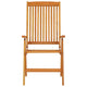 Savio Foldable Outdoor Garden Chair | Set of 2 | Brown Eucalyptus Wood